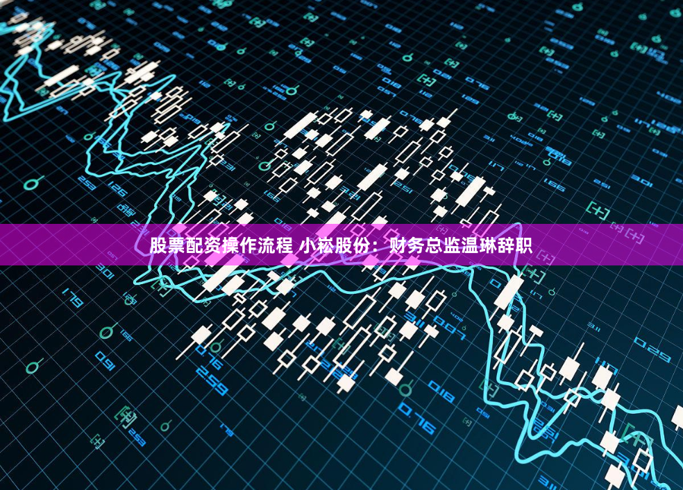 股票配资操作流程 小崧股份：财务总监温琳辞职