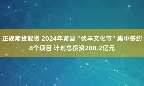 正规期货配资 2024年萧县“伏羊文化节”集中签约8个项目 计划总投资208.2亿元