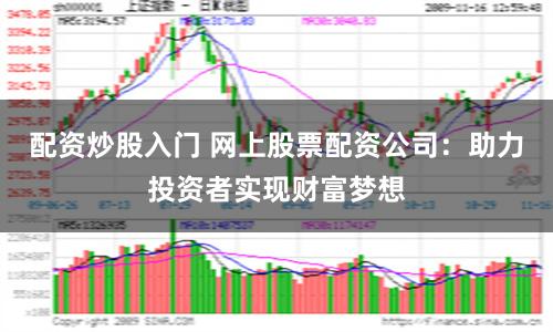 配资炒股入门 网上股票配资公司：助力投资者实现财富梦想