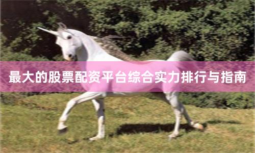 最大的股票配资平台综合实力排行与指南